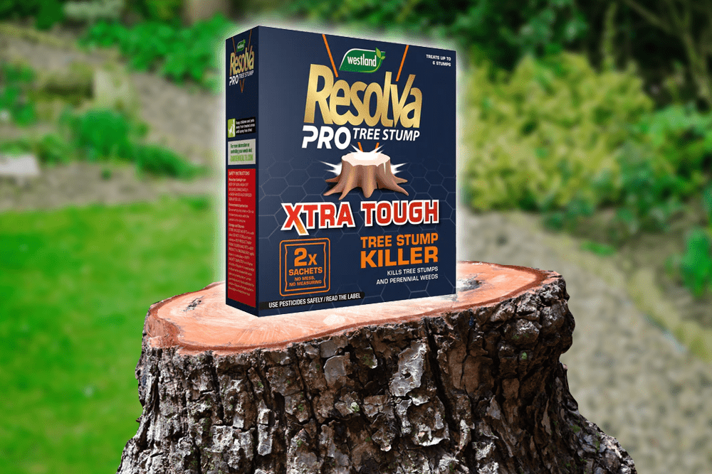 Resolva Tree Stump Killer Get Rid Of That Old Stump