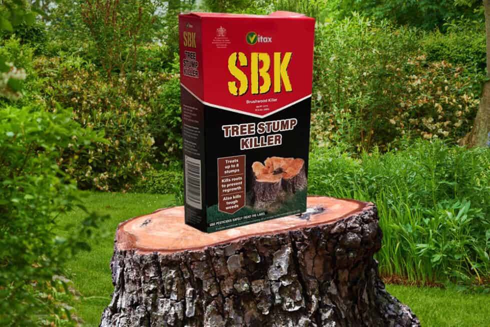 SBK Tree Stump Killer How to remove your old tree stump