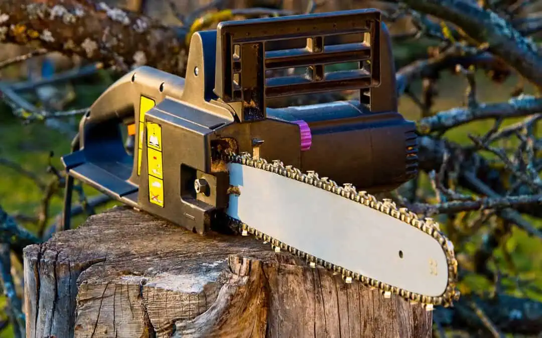 Safety First: Risks of DIY Stump Removal and Why to Avoid It”